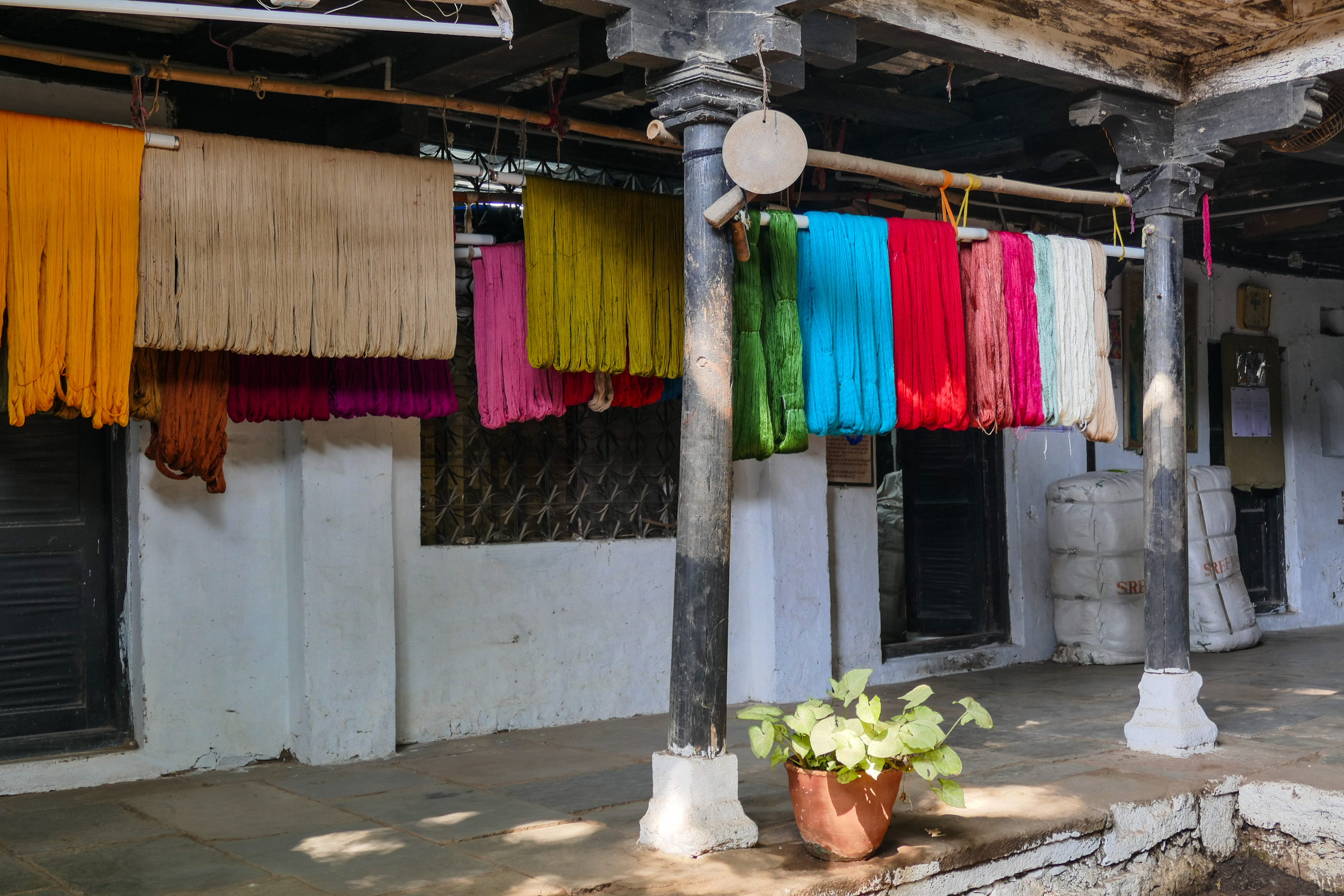 Trocknen der gefärbten Wolle